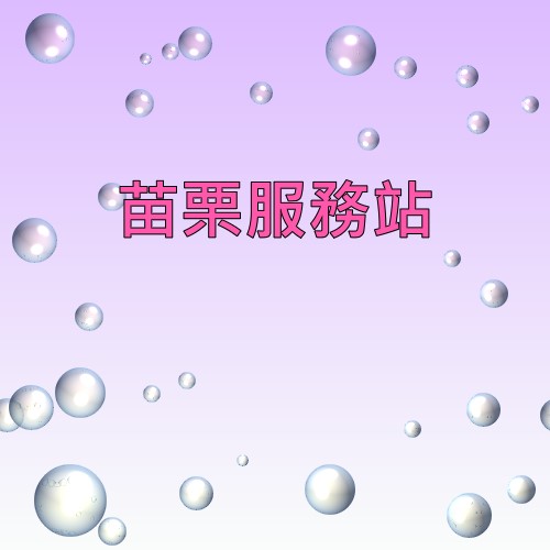 苗栗明碁服務站